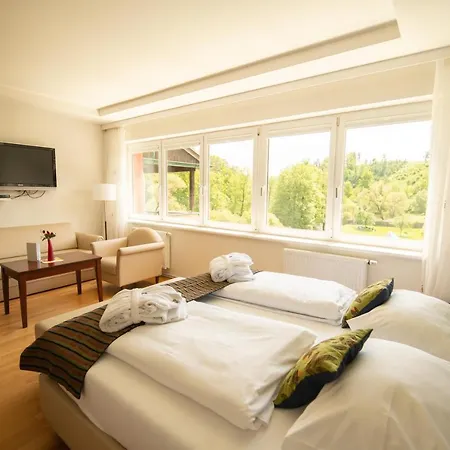 Hotel Hotel-restaurant Liebnitzmuehle 4*