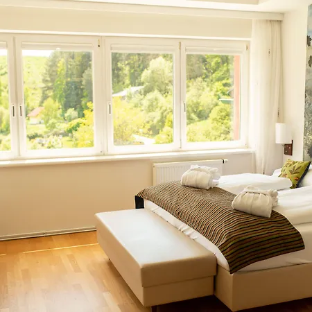 Hotel-restaurant Liebnitzmuehle Отель 4*