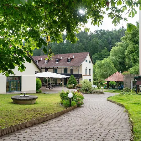 Hotel-restaurant Liebnitzmuehle Otel 4*