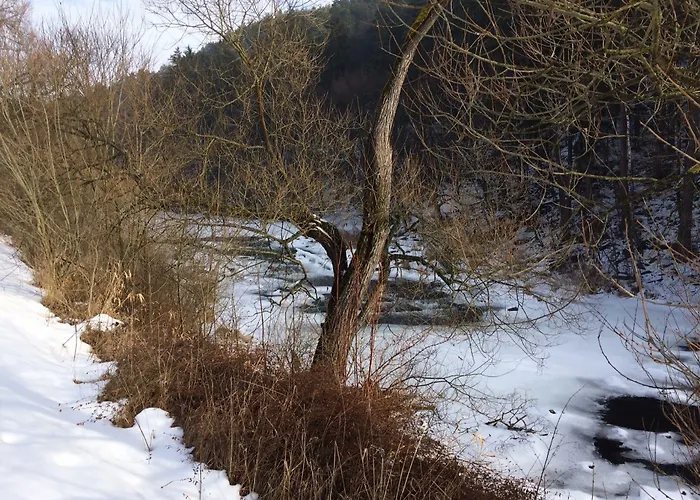 Hotel-restaurant Liebnitzmuehle ראבס אן דר טהיאה