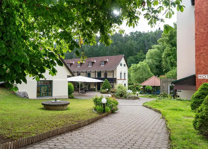 Hotel-restaurant Liebnitzmuehle מלון 4*